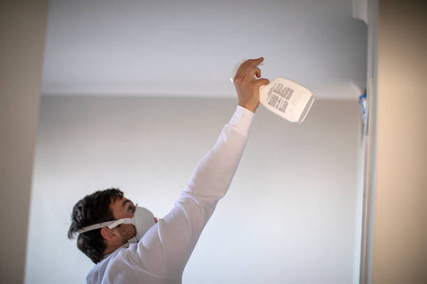Certified Mold Removal in Tuskegee, AL