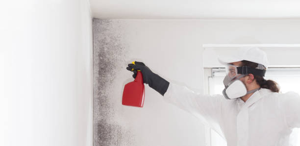 Best Home Mold Removal  in Tuskegee, AL